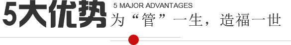 5大優勢